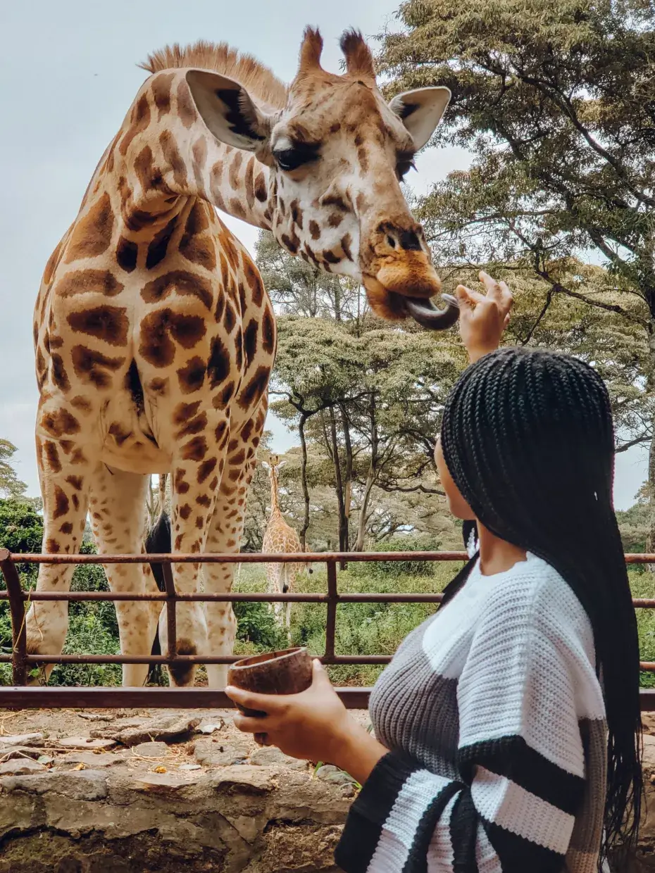 GIRAFFE CENTRE, NAIROBI