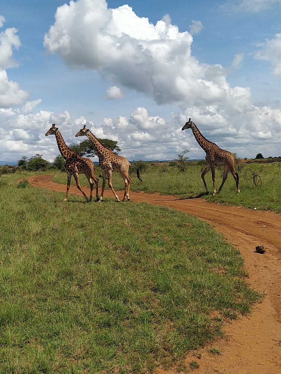 NAIROBI NATIONAL PARK