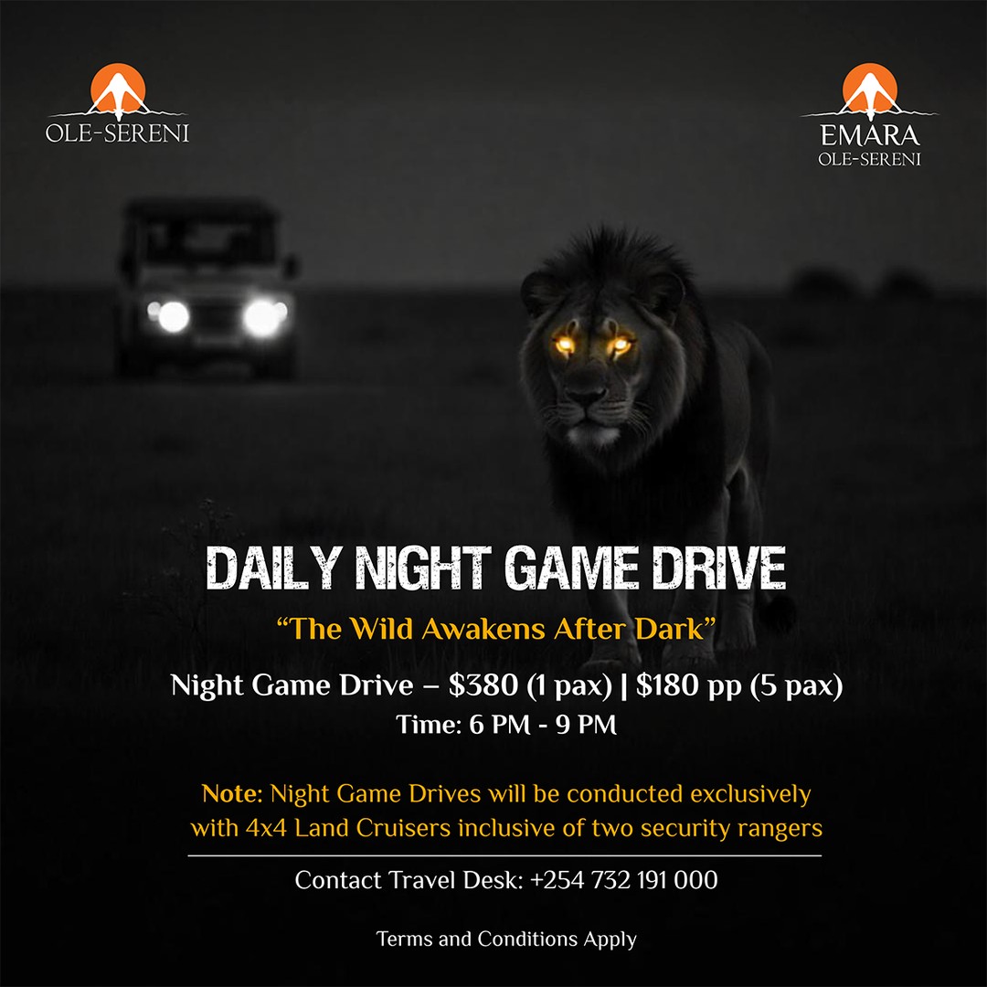 As dusk settles over Nairobi National Park, a different world comes alive. Join our Night Game Drives every evening and witness the raw beauty of the savannah under the stars. From the stealthy prowl of lions to the echo of nocturnal calls, every moment is a pulse of untamed energy.
To reserve a spot, call +254 732 191000.
#OleSereni #NightGameDrive #BestHotelInNairobi