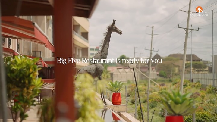 Love is in the air, and we're setting a table for it. Tomorrow night, Big Five Restaurant opens its doors for an unforgettable Valentine’s Dinner, and we can’t wait to celebrate the season of love with you.
For last minute table reservations, call +254 731 436100.
#OleSereni #BigFiveRestaurant #LoveAndWild