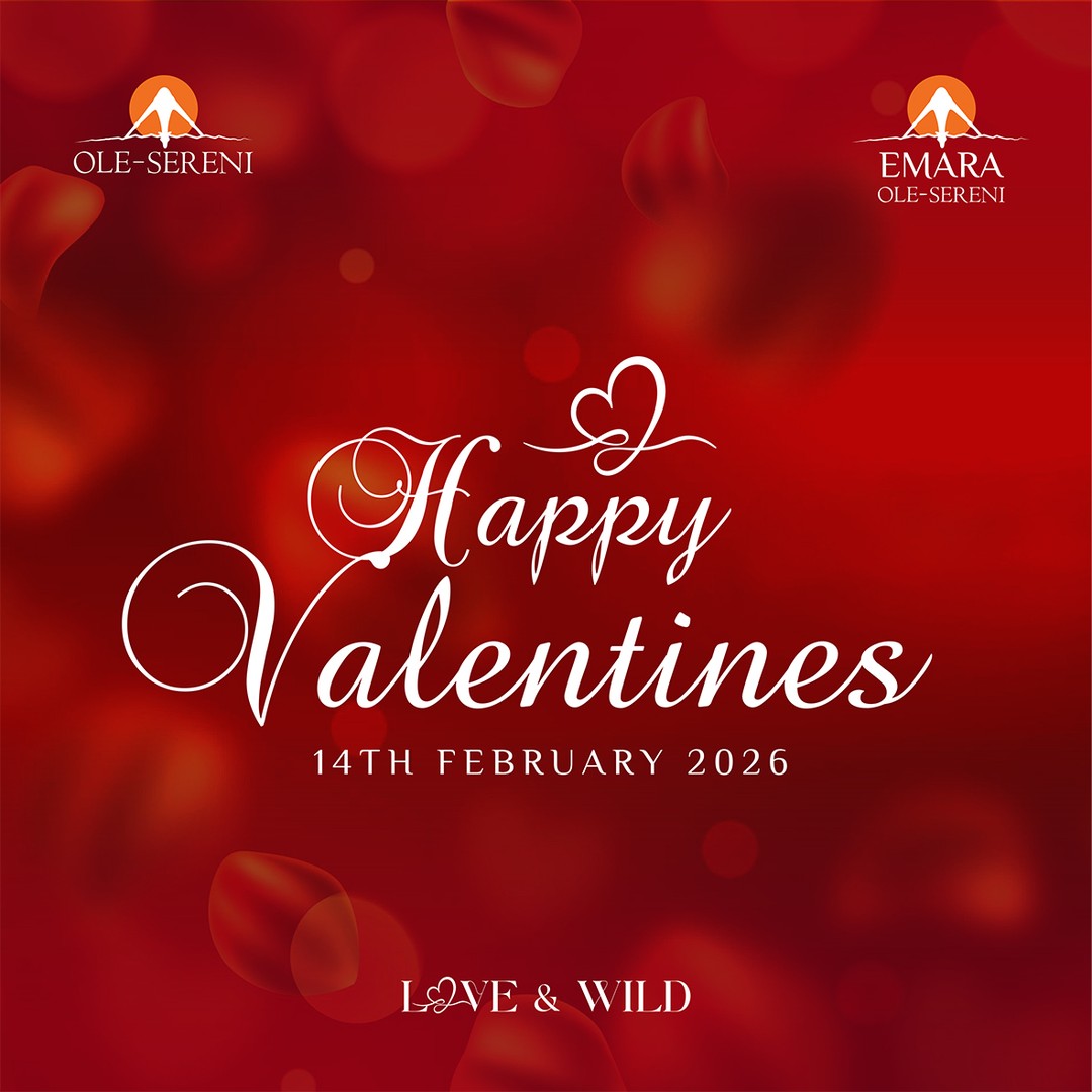 Happy Valentine’s Day from all of us at Ole-Sereni. At Ole-Sereni, we’re grateful to be part of your special moments, today and always. Wishing you a Valentine’s Day filled with joy, tenderness, and the special moments that make the heart smile.
#OleSereni #HappyValentinesDay #LoveAndWild